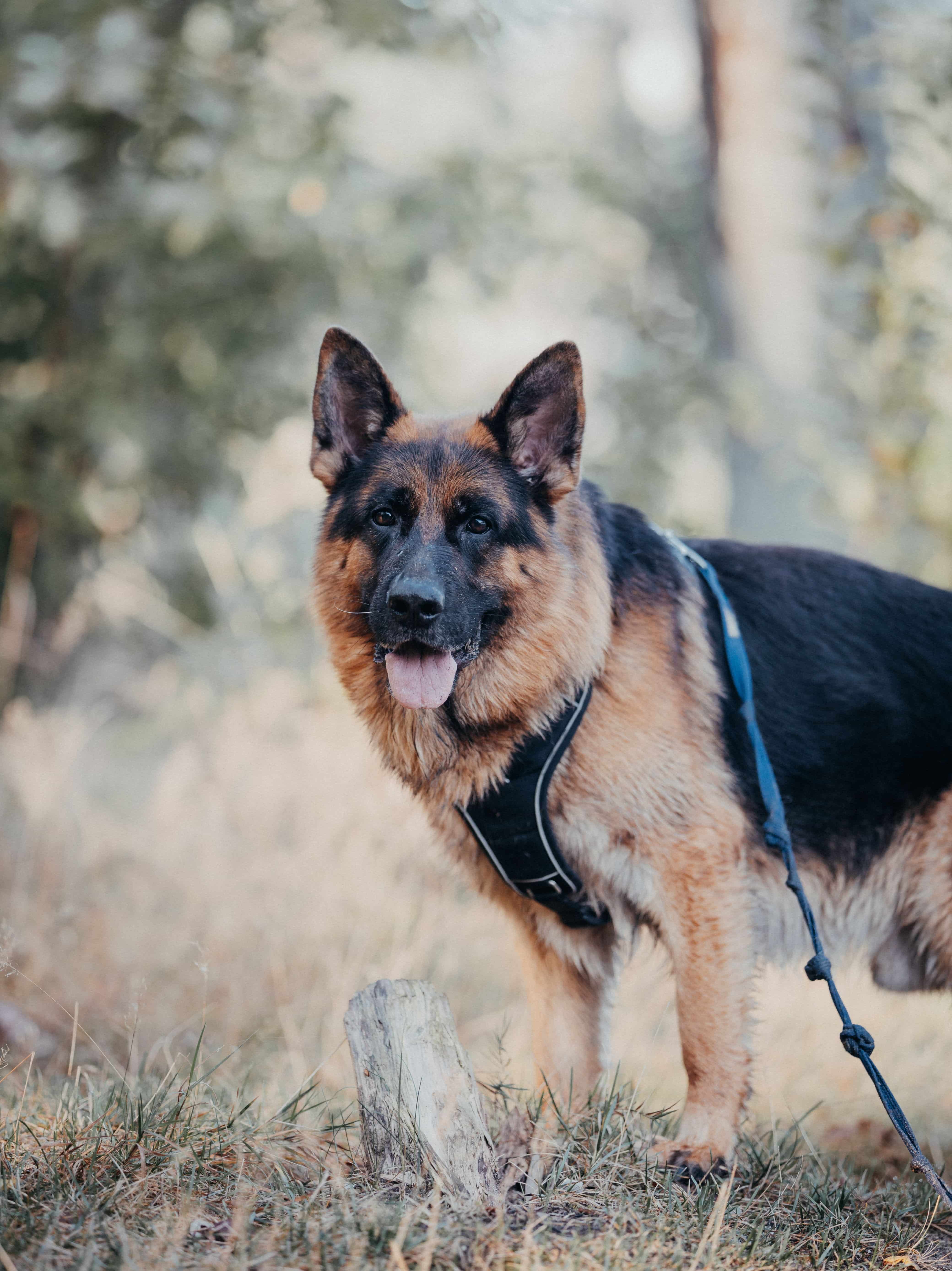 customer photo of William Brown