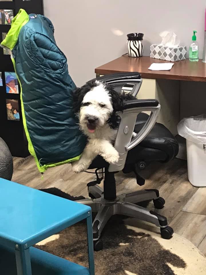 customer photo of TR